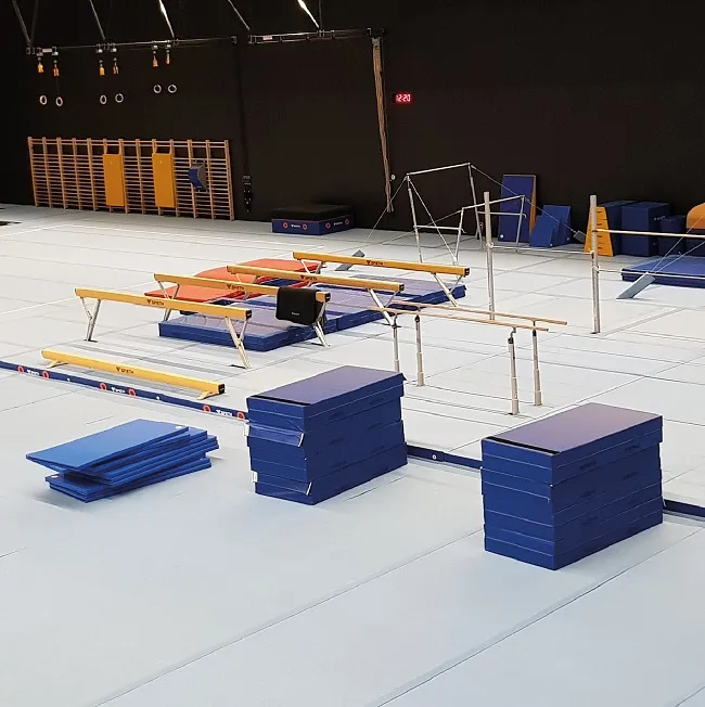 SPIETH_Dornbirn_5_sb_1_2020_Spieth_Gymnastics.jpg